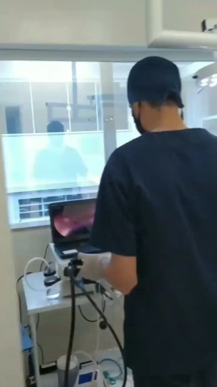 Endoscopia veterinária em Uberlândia